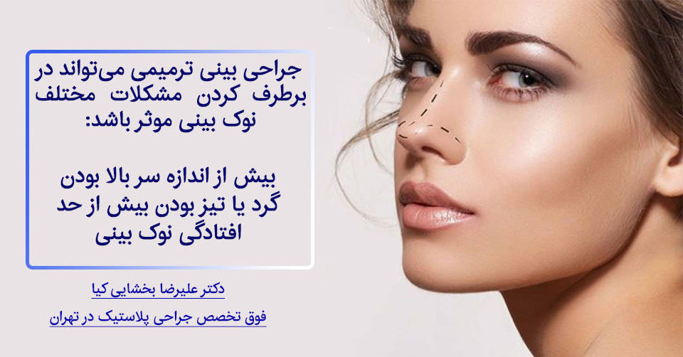 ترمیم بینی
